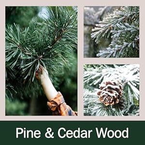 Christmas Decorations Indoor - Christmas Tree Cedar Forest Candles - Farmhouse Rustic Xmas Decor for Party Room Table Home - Xmas Gifts for Women Girls Holiday Birthday Christmas Decorations Indoor Christmas Tree Cedar Forest Candles Farmhouse Rustic Xmas Decor for Party Room Table Home Xmas Gifts for Women Girls Holiday Birthday