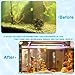 Cunno 200 Pcs Bio Balls Pond Filter Media Black Aquarium Bio Media with Sponge 50 Pieces Each for 0.6 Inch and 1.5 Inch, 100 Pieces for 1 Inch for Fish Tank Aquarium Pond Filter Media