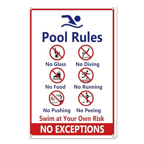 Horienteeon Pool-Warnschild 46LP24N Aluminium 30x40 cm