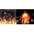 Aimer「Walpurgis(完全生産限定盤)」