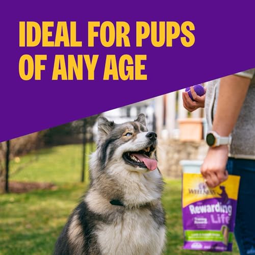 Wellness Rewarding Life Dog Treats, Training Treat, Grain Free, Soft Lamb & Salmon (6 Ounce Bag) - Image 3