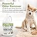 Amaziing Solutions Pet Stain and Odor Remover - Enzyme Cleaner, Pet Urine Odor Eliminator Refill - Floor & Carpet Cleaner, Pet Deodorizers For Home, Fabric Freshener W/Fresh, Clean Scent, 1 Gallon