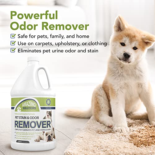 Image of Pet Stain and Odor Remover - Enzyme Cleaner, Pet Urine Odor Eliminator Refill - Floor & Carpet Cleaner, Pet Deodorizers For Home, Fabric Freshener W /Fresh, Clean Scent, 1 Gallon