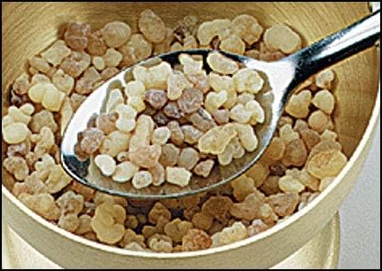 Incienso apostólico de incienso de US Gifts.