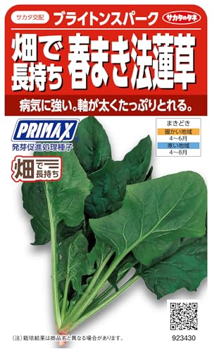 �T�J�^�̃^�l ������ �z�E�����\�E PRIMAX ���Œ������t�܂��@�@�� �u���C�g���X�p�[�N