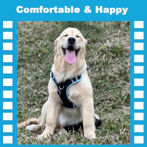 Image of IEhotti Dog Knee Brace for Torn Acl Hind Leg, Dog Leg Braces for Back Leg with Extra Dog Harness, Dog Hip Brace for Cruciate Ligament Injury, Relieves Pain and Better Recovery, Small