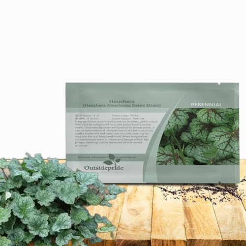 Outsidepride Coral Bells Americana Heuchera Seeds - 1000 Pcs Perennial Flower Seeds for Planting with Bell-Shaped Blooms & Colorful Foliage for Borders, Containers, Ground Covers, & Rock Gardens