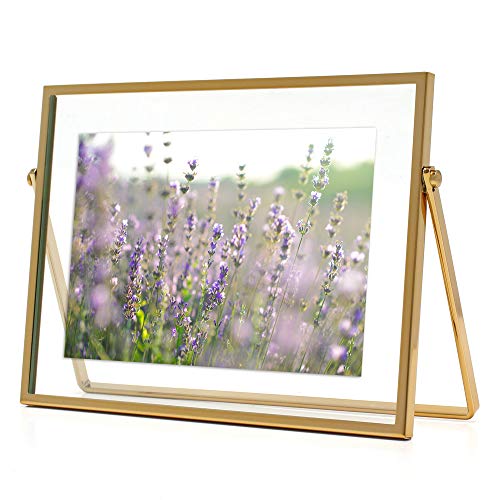 MIMOSA MOMENTS Gold Metal Floating Picture Frame (Gold,4x6)…