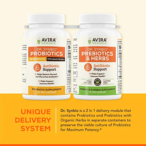Dr. Synbio Antibiotic Support Probiotics & Organic Prebiotics – Triphala & Chicory, 50 Billion Cfu & 14 Multiple Strains, Helps Restore Normal Gut Flora & Support Immune Function, Delayed (Pack Of 2) #TOP4
