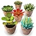 Set of 6 Artificial Succulent Plants – Fake Plants with Grey Ceramic Planters for Decoration