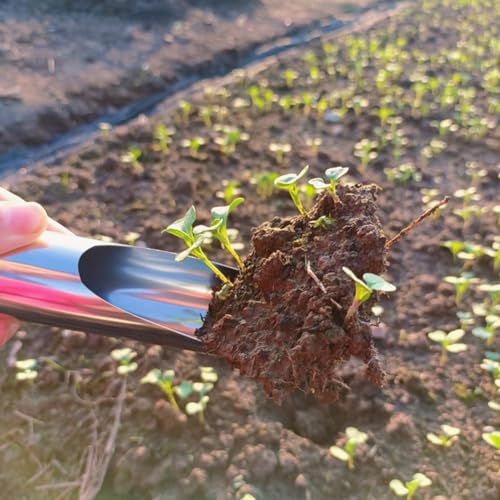Pala para Jardín de Acero Inoxidable Multifuncional miniatura 2