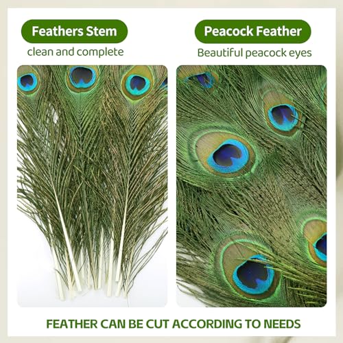 image for iHUFeather 10PCS Real Natural Peacock Eye Feathers 10-12 inch for DIY 