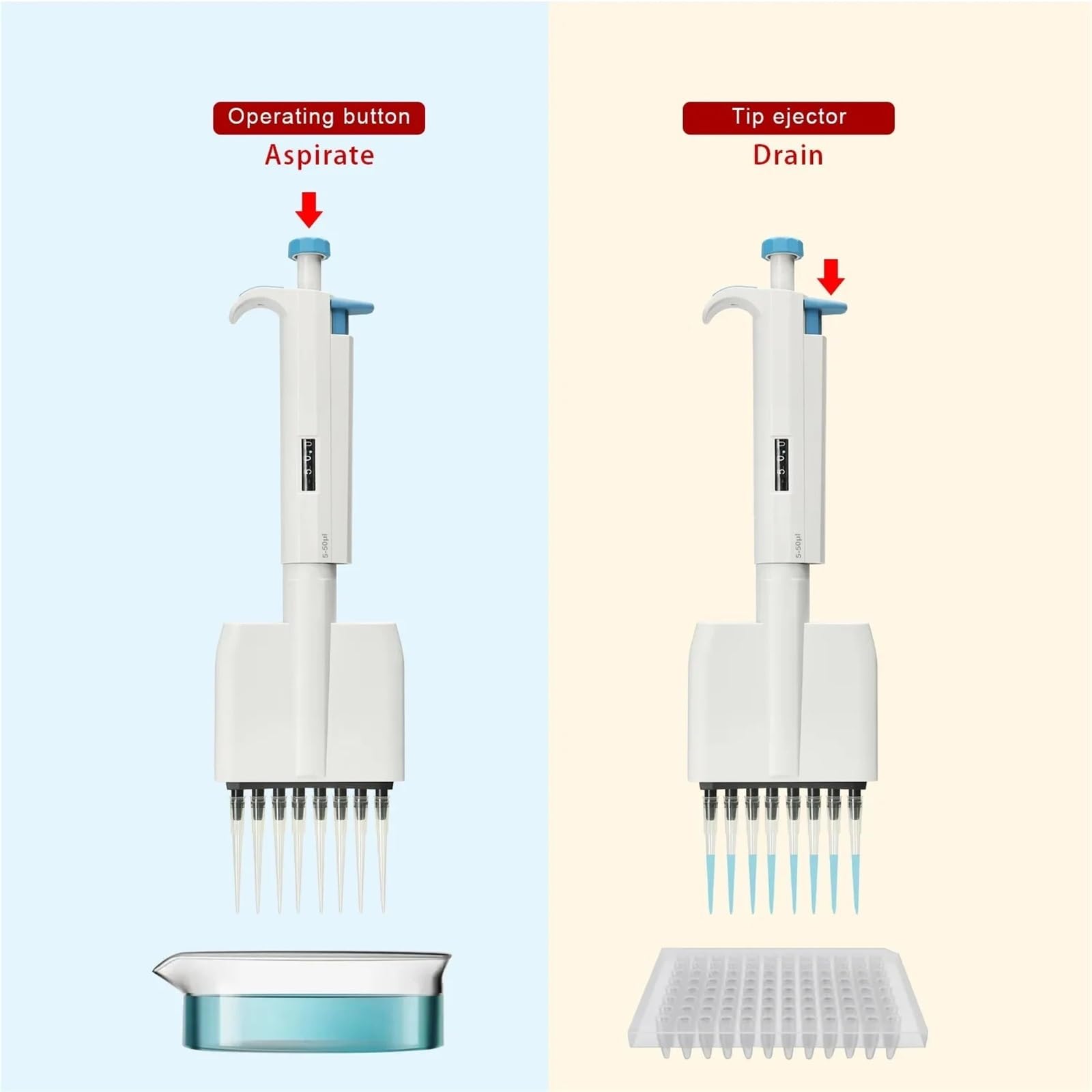 Pipetten Pipette, 8-Kanal-Labor-Mikropipette, Einstellbares Volumen, Autoklavfest, Manuell, Mechanisch,Labor(50-300ul)