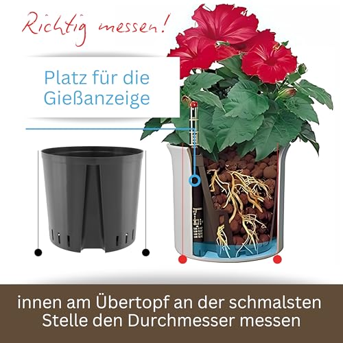 Leni Kulturtopf Set mit Wasserstandsanzeiger Ø 11 cm H 9 cm 3er-Pack rund – Ansicht 5