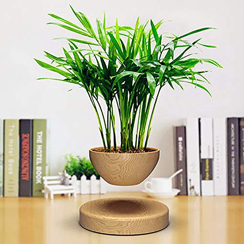 Maceta De Bonsai De Aire De LevitacióN MagnéTica, DecoracióN De Esc