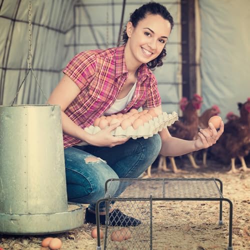 Escalera para Gallinas de Hierro Estable que Evita Caídas en Corral 7