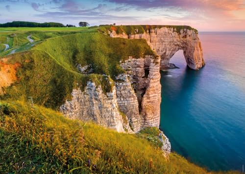 Puzzle 1000 pièces : Vue sur les falaises d'Etretat Des racines et des ailes Ravensburger Nathan - vue 3