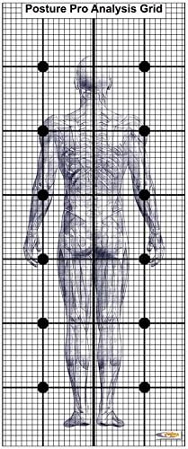 Amazon.com: Posture Grid for Wall with Normal PA Posture: Posters & Prints