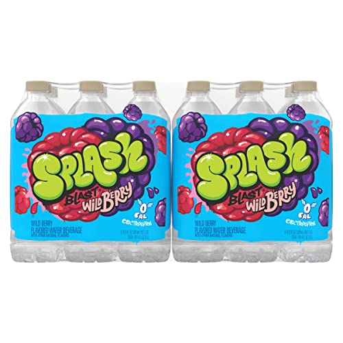 Splash Blast, Flavored Water Beverage, Wild Berry Flavor, 16.9 Fl Oz Plastic Bottles, 24 Pack,Clear,12184445 #TOP5