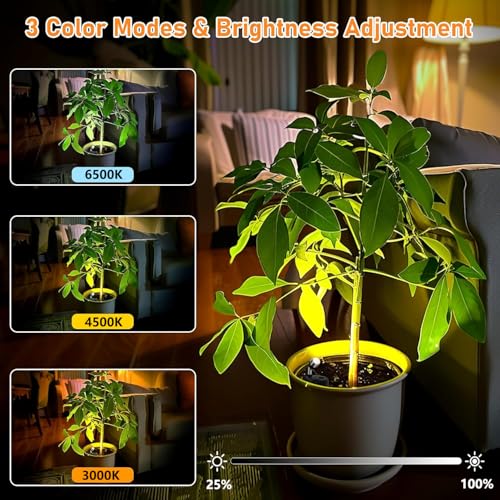 Focos LED de batería luces de interior inalámbricas de tres colores 6