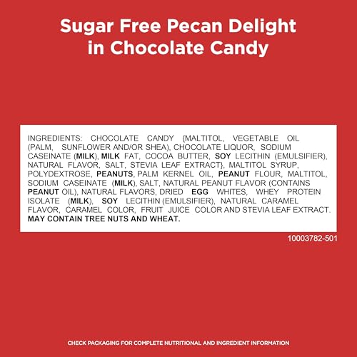 Image of RUSSELL STOVER Sugar Free Pecan Delight Chocolate Candy, 4.7 oz. bag