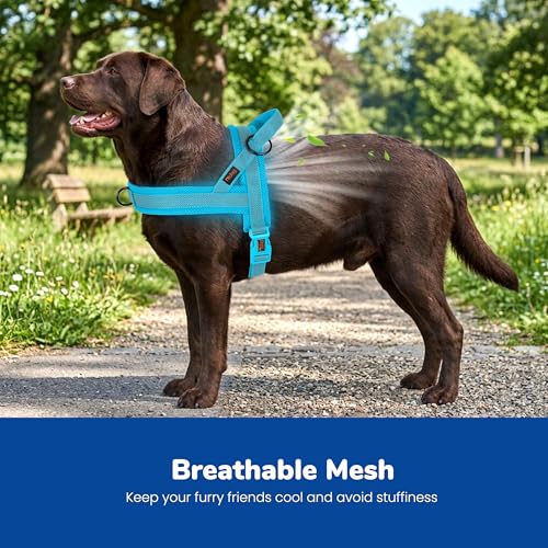Image of Didog No Pull Dog Harness for Large Dogs, Breathable Mesh Padded, Blue, L