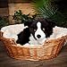 Living Nature Soft Toy - Großes Stofftier Border Collie (60cm), Schwarz / Weiß