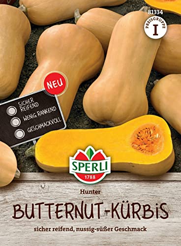 Sperli Butternutkürbissamen Hunter F1 81334 - sicher reifend - nussig süßer Geschmack - Inhalt für 8 Pflanzen - Gemüsesamen Samen Gemüse Saatgut