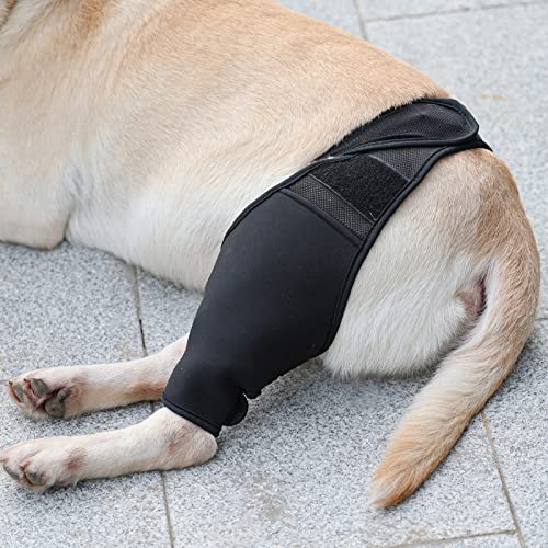 Image of Dog Recovery Sleeve Front Rear Leg Support Brace for Injury Sprain Relieve Pain