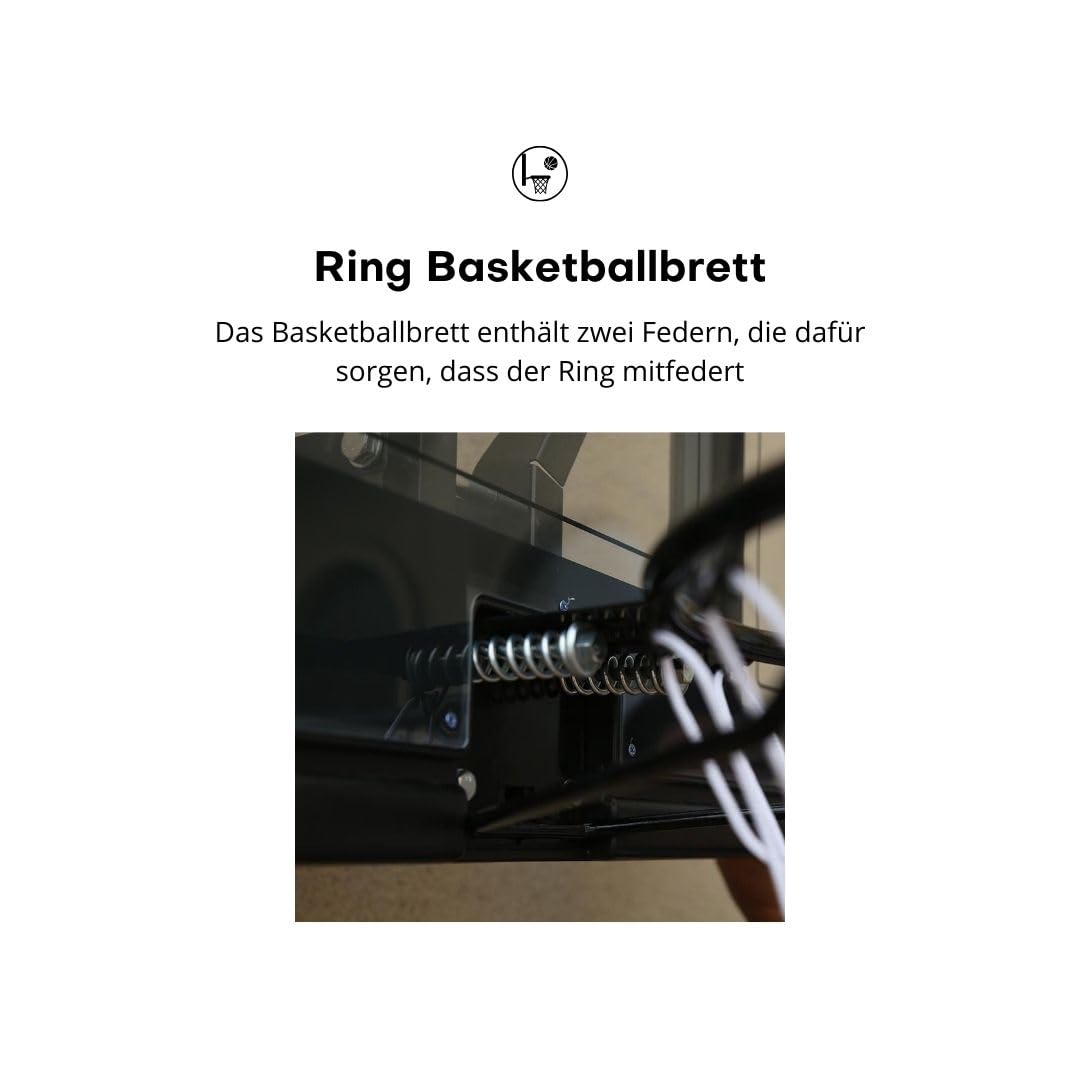 Pegasi Basketballbrett Classic 110x75cm