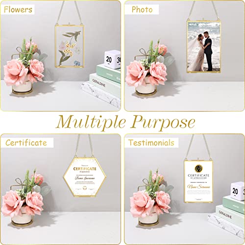 6 Packs Glass Frame For Pressed Flowers Golden Hanging Glass Picture Frames Floating Brass Double Glass Frame With Chain For Dried Plant Specimen Wall Decor Display Gallery Photo Collage Diy, 3 Sizes #TOP3