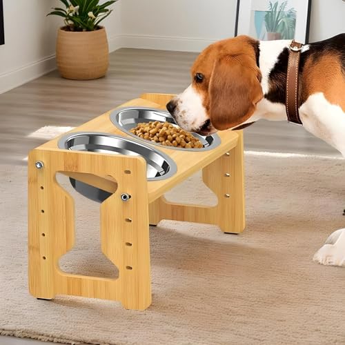 Bol de chiens surélevés pour repas propre en cuisine - 4