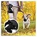 Multifunction Pet Dog Leash with Builtin Water Bottle Bowl Waste Bag for Outdoor Walking Traction Rope Accessories(Black)