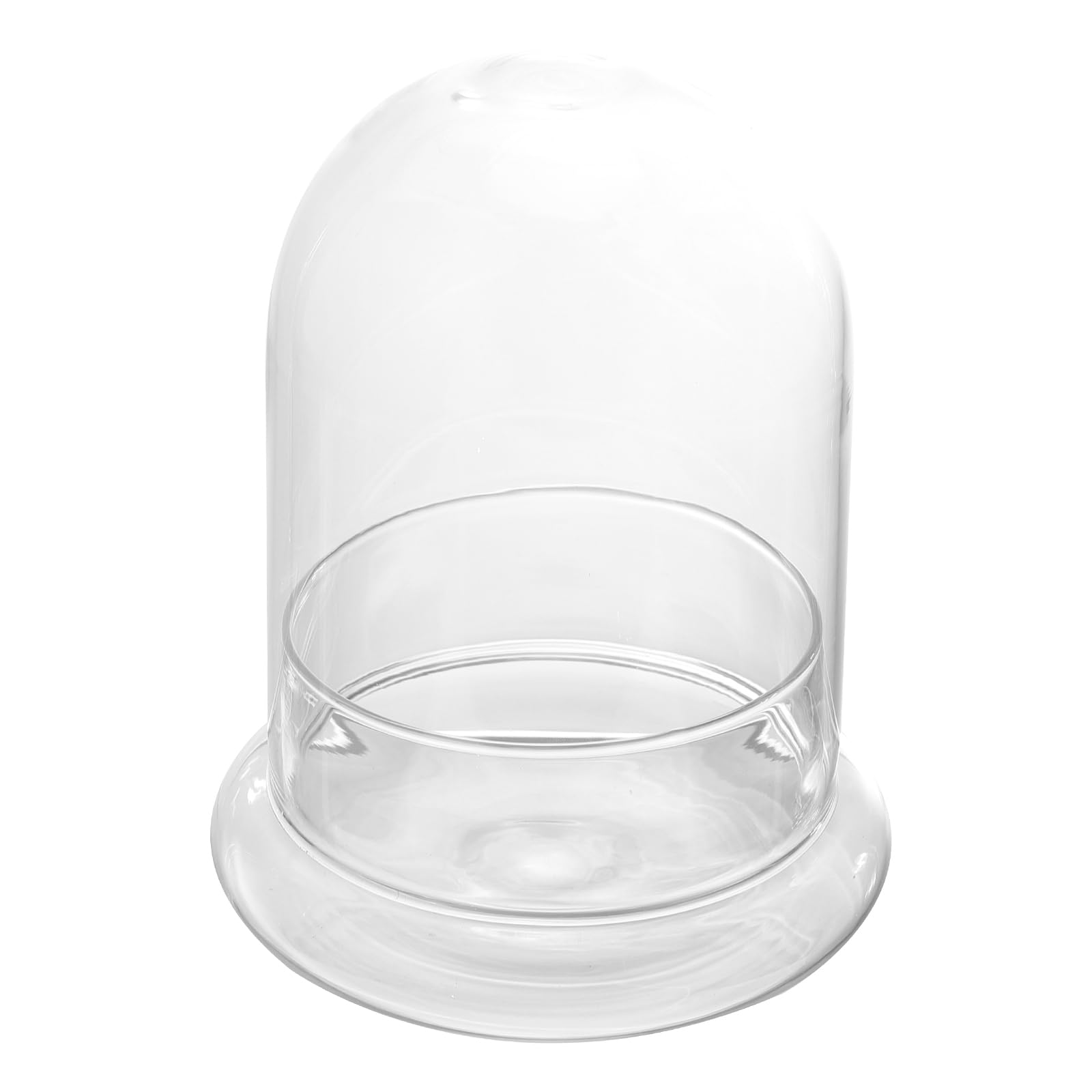Angoily Ecological Bottle Moss Terrarium Jar with Glass Dome and Base for Diy Micro Landscape Display Home Office Ornament