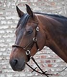 bitless bridle wirkung Reiter, die immer noch keinen unabhängigen Sitz haben oder im Allgemeinen Probleme haben, ihre Hände / Zügel in der richtigen Position zu halten, machen die Dinge für sich selbst und für das Pferd leichter und angenehmer - wenn sie mit Lindell fahren.