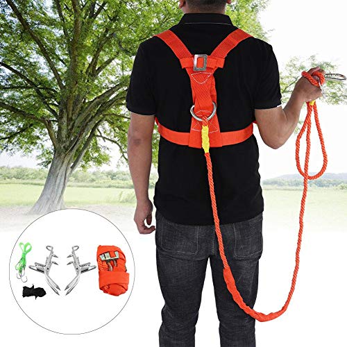 La Mejor comparativa de Escalestri favoritos de las personas. 17 Imagen adicional