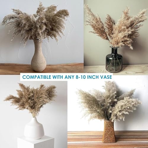 Pampas Grass Grande 60CM, 20 Tallos Secos miniatura 6