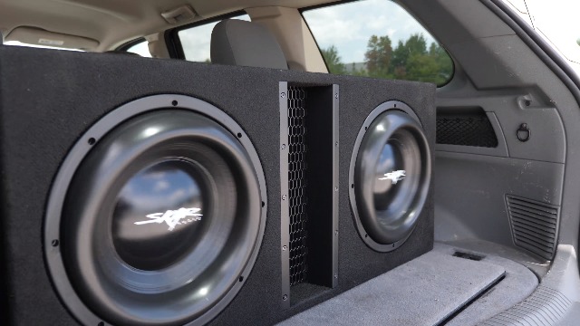 Amazon.com: Skar Audio Dual 12