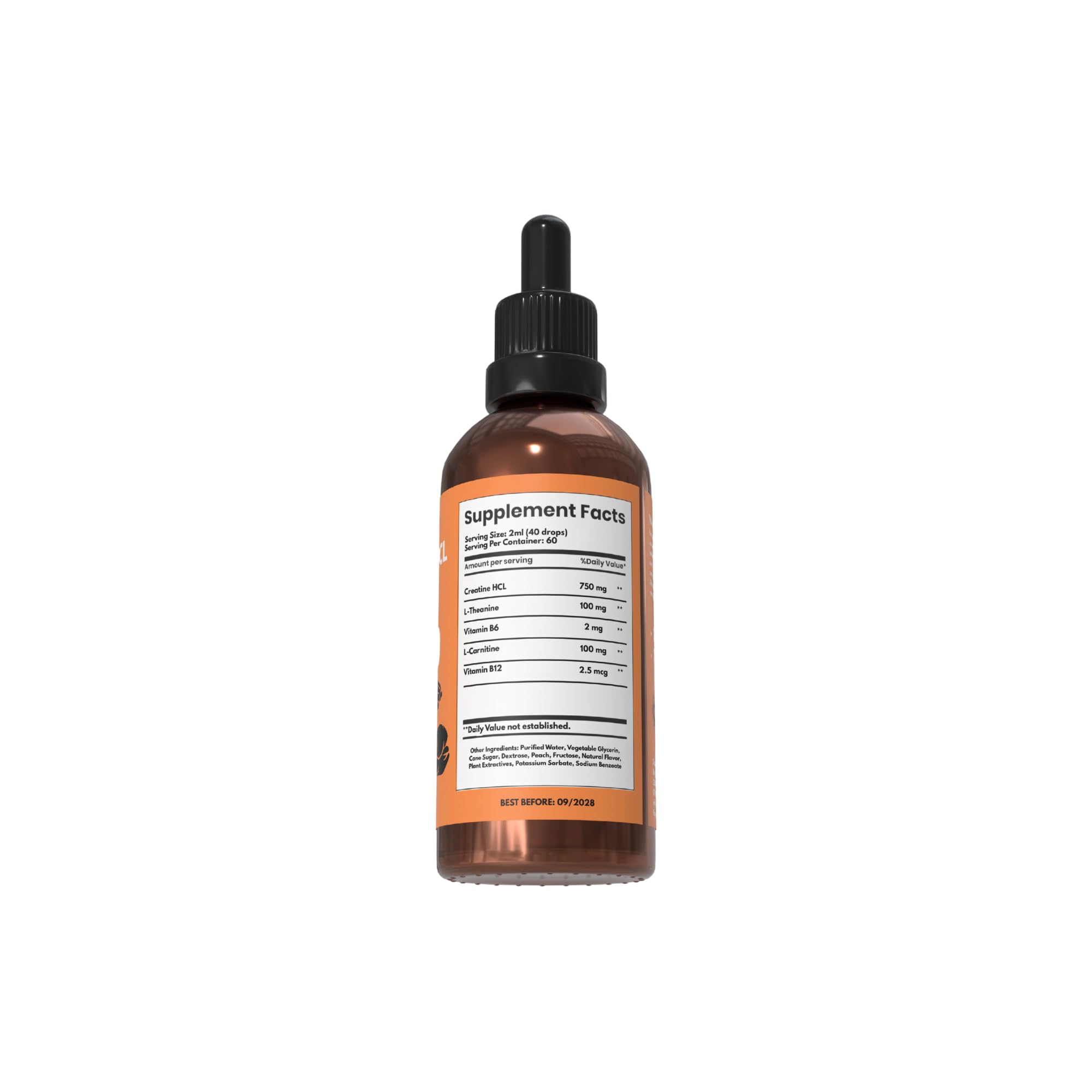 l carnitine good for pregnancy Pregnancy