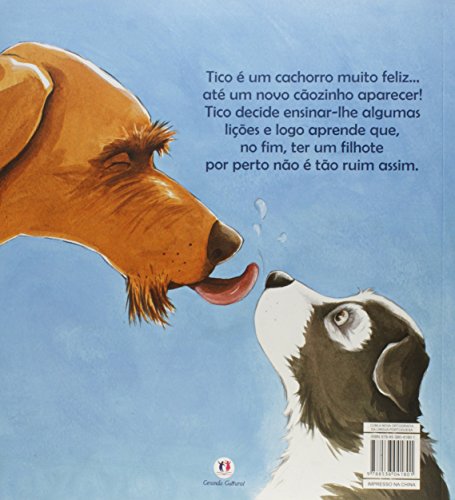 Preste atenção, cãozinho!