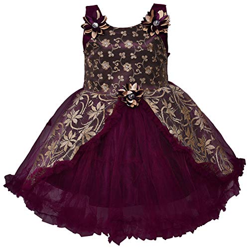 Image of Wish Karo Baby Girl's Knee Length A-Line Dress
