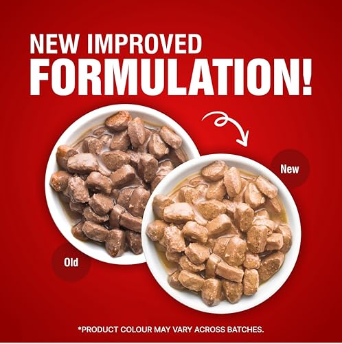 Image of Drools Adult Wet Dog Food, Real Chicken and Chicken Liver Chunks in Gravy,10 Pouches + 2 Pouches Free (12 x 60g) (Pack of 2)