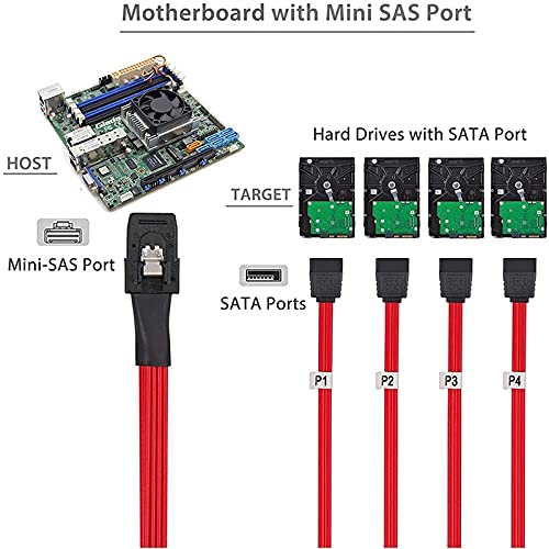 Cable Mini SAS a 4 SATA 0.5m 2 unidades negro rojo miniatura 3