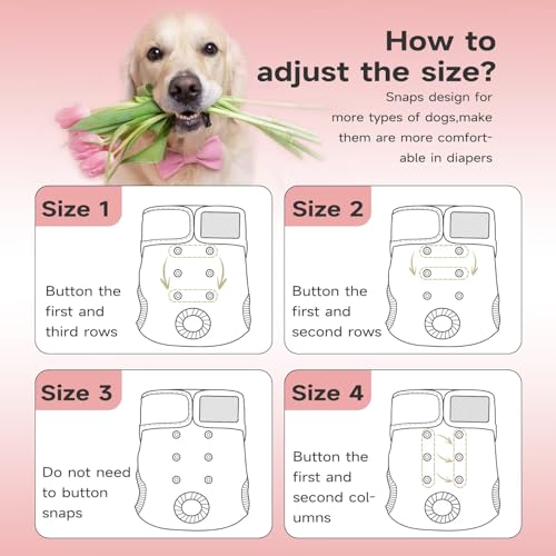 Image of Paw Legend Washable Reusable Female Dog Period Diapers for Heat Doggie Puppy Diapers for Female Dogs (3 Pack,X-Small)