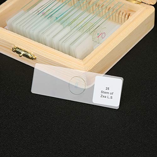 Prepared Microscope Slides Set for Students Basic Biological Science Education, 25pcs Animal Plant Insect Bacteria Specimens, Containing Wooden Storage Boxes