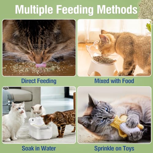 Glaublieb 30g Katzenminze Getrocknet, Natürliche Catnip Katzengras, Auffüllen Von Katzenspielzeug Katzen Kissen Catnip Ball, Einstellbare Dosierung und leicht zu verstauen