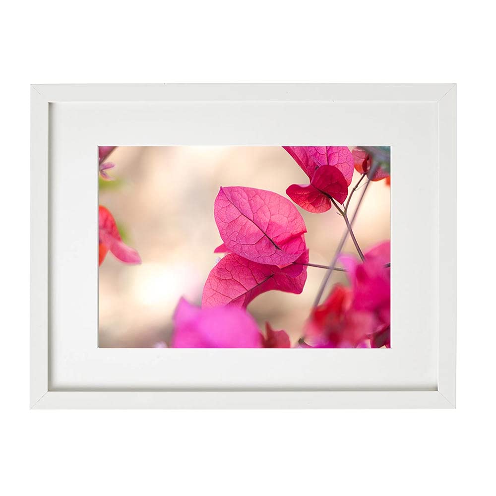 The Bougainvillea Leaf - Exotic flower In Nature Photography Print Wall Art By Hala Art House Home Office Picture Frame Decoration (White Fibre Board, 52 x 42 x 4 cm)