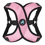 Gooby Comfort X Step in Lite Dog Harness - Choke Free, Escape Free with Light Breathable Mesh - Step in Dog Harness for Small Dogs Only - Quick Release Buckle, Metal D-Rings - Pink, Medium