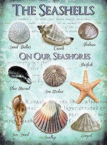 Rifosa A8 12"X16" Metal Sign Plaque Seashells Seaside Sea Nautical Shells Bathroom Wall Art