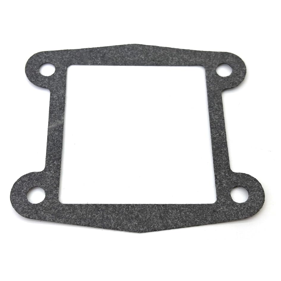 66mm Piston Kit for Yamaha Blaster 200 YFS200,Standard Bore 1988-2006,Replacement Piston Bearing Kit for Yamaha,Top End Gasket Kit,OEM NO.2XJ-11631-01,3JM-11601-10